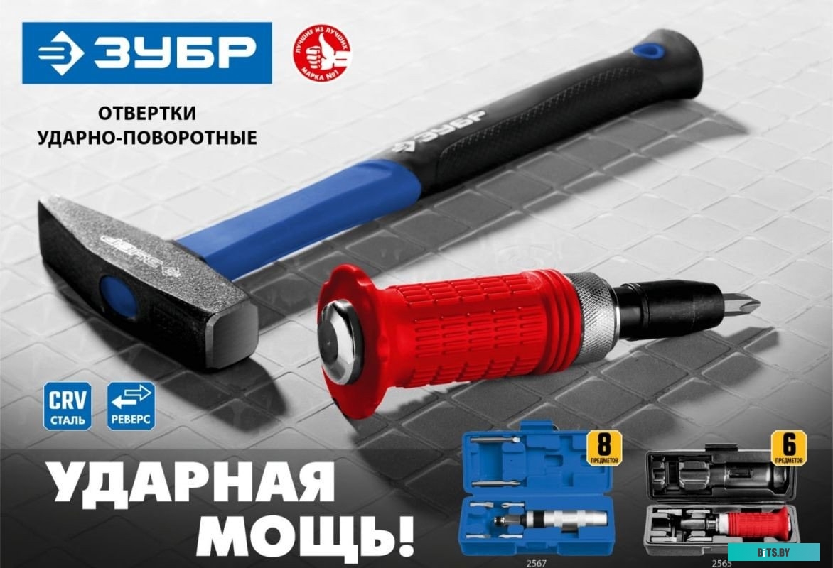 Зубр 2567 (8 предметов)