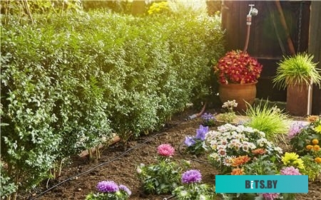 Токовые клещи Mastech MS2000G