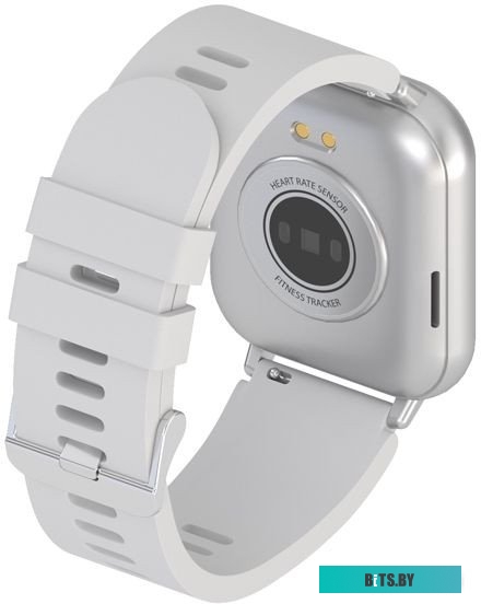 Maxvi SW-02 (серый)