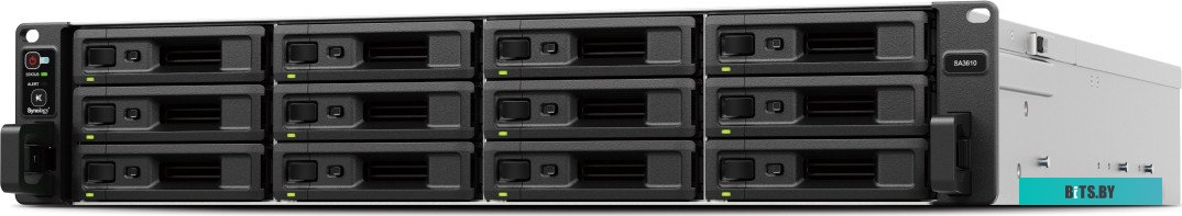 Сетевой накопитель Synology SA3610