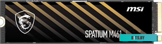 Твердотельный накопитель MSI Spatium M461 S78-440R030-P83