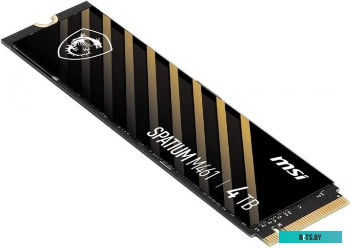 Твердотельный накопитель MSI Spatium M461 S78-440R030-P83