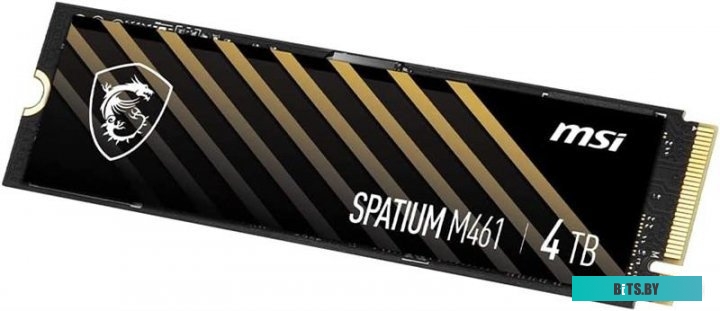 Твердотельный накопитель MSI Spatium M461 S78-440R030-P83
