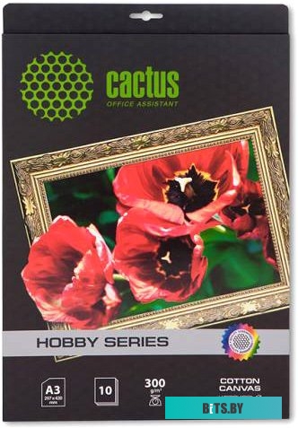 Холст CACTUS Холст A3 300 г/м2 10 листов [CS-СA326010]