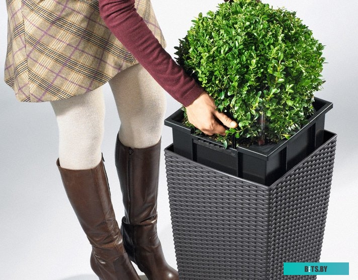 Matrix 15242 (12 предметов)