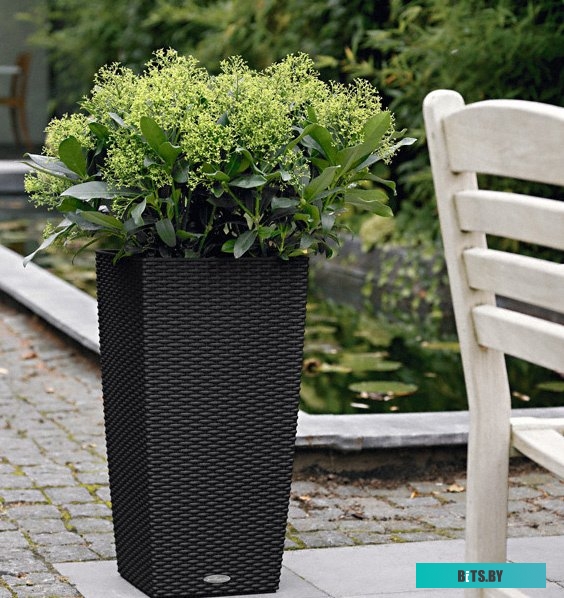 Matrix 15242 (12 предметов)