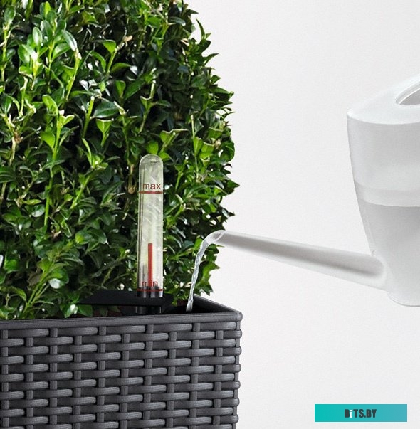 Matrix 15242 (12 предметов)