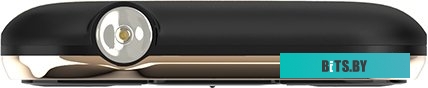 Мобильный телефон Maxvi X10 (золотистый)