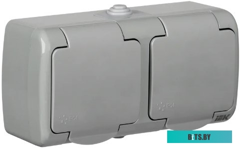 Розетка IEK РСш22-2-А <ERA22-K03-16-54>