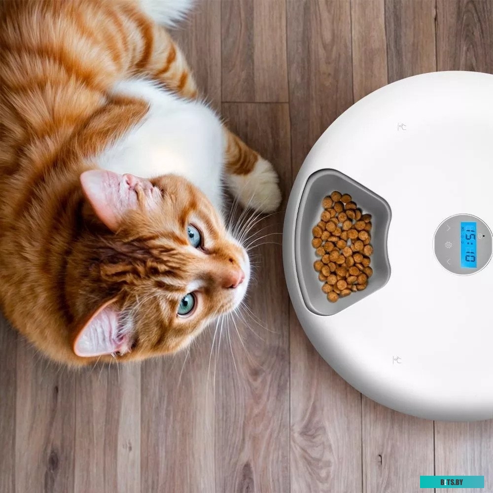 КТ-207 Медленноварка KITFORT КТ-207,  200Вт,   серебристый/черный