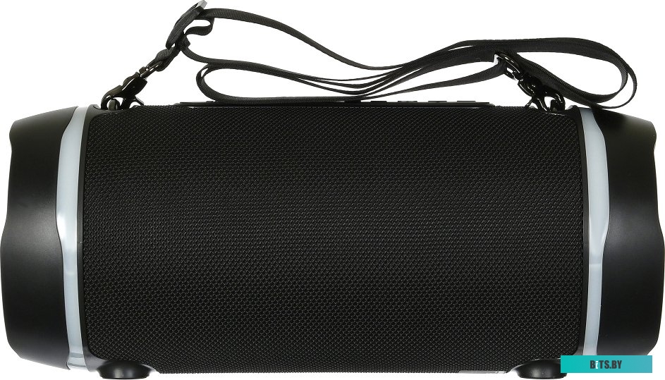 Беспроводная колонка Digma S-39 <1163593>