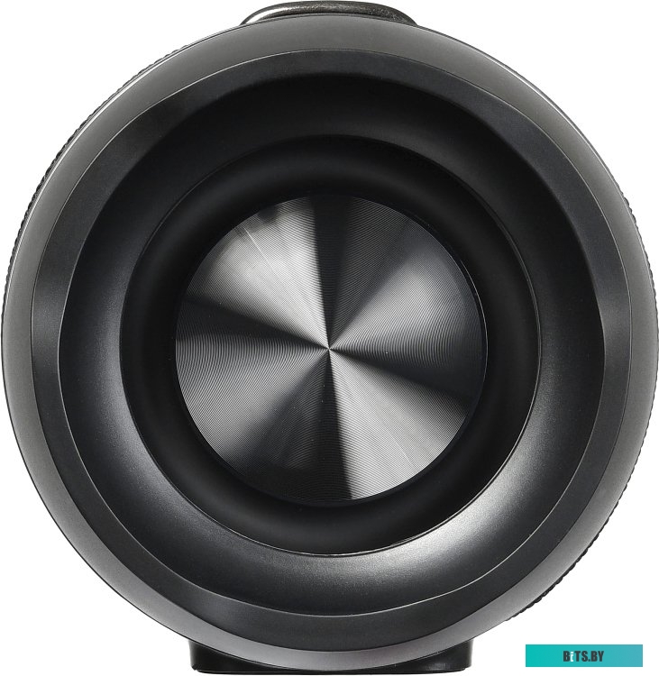 Беспроводная колонка Digma S-39 <1163593>