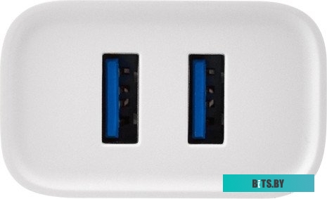 Зарядное устройство сетевое Rexant 16-0276