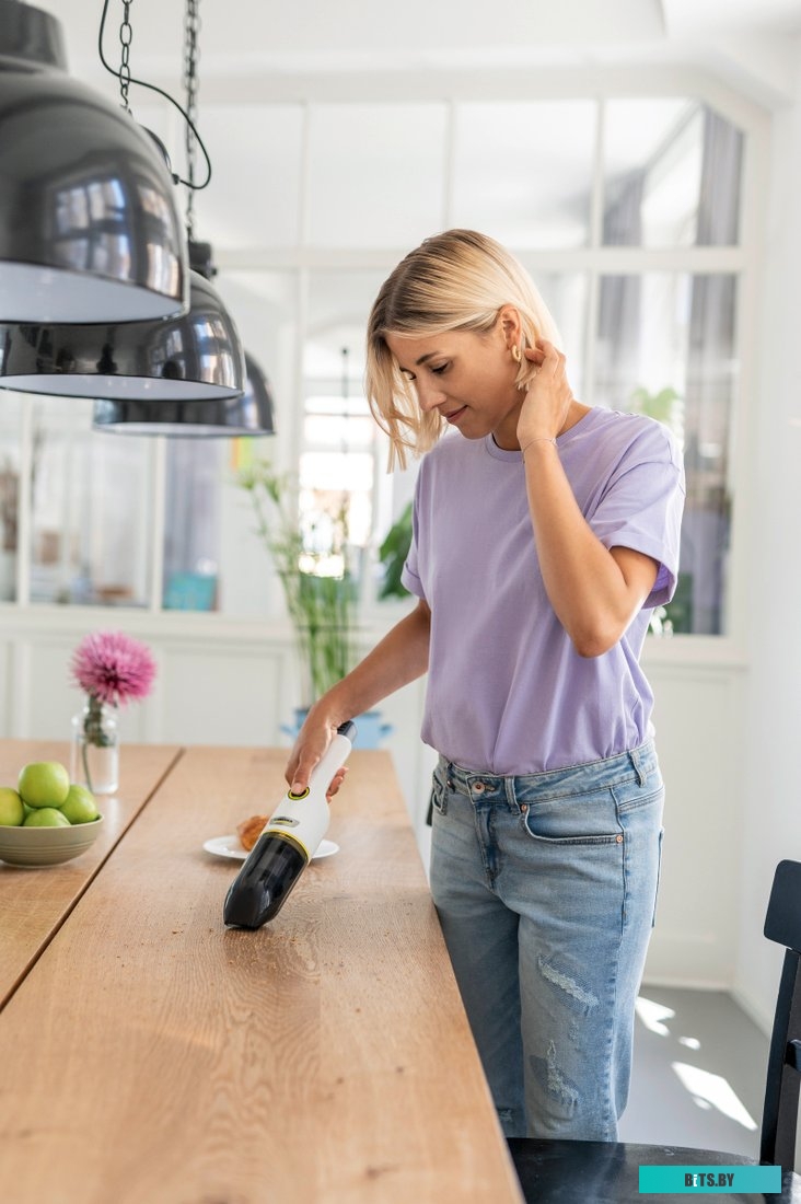 1.198-450.0 Пылесос ручной Karcher CVH 2-4 54Вт белый