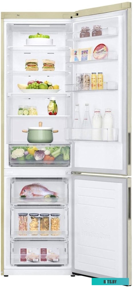 LG DoorCooling+ GA-B509CESL