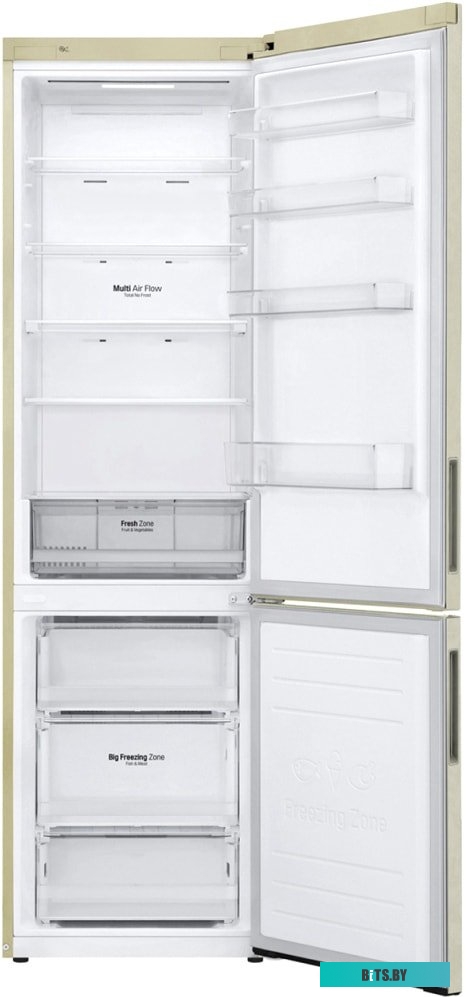 LG DoorCooling+ GA-B509CESL