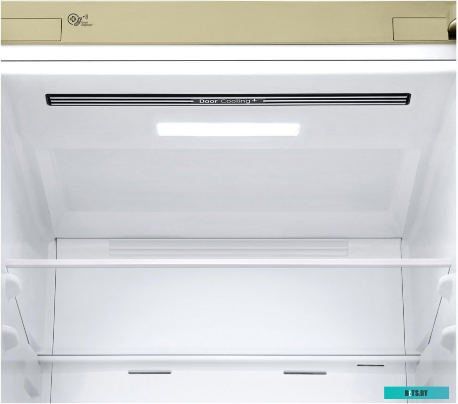 LG DoorCooling+ GA-B509CESL