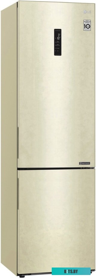 LG DoorCooling+ GA-B509CESL