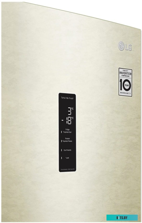 LG DoorCooling+ GA-B509CESL