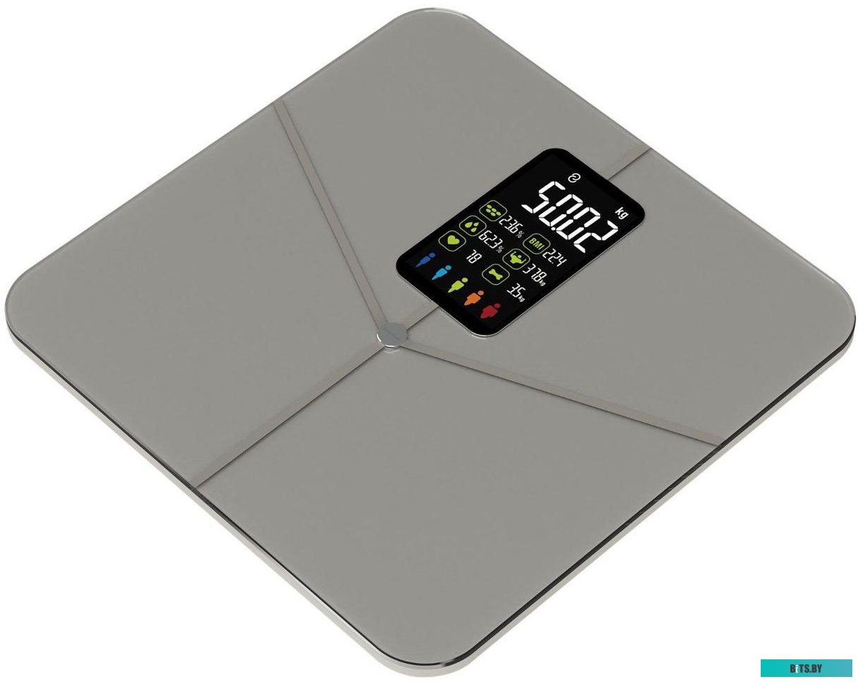 SD-IT01G Весы напольные SMART SD-IT01G SECRETDATE