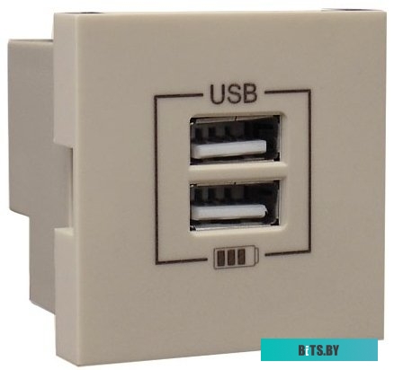 Розетка USB Efapel 45439 SCH