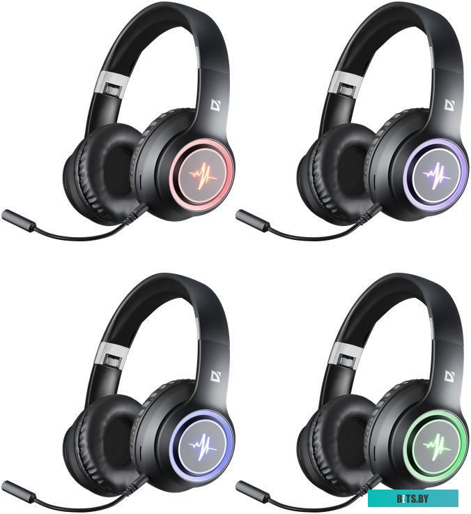 Наушники Defender FreeMotion B571 (со съемным микрофоном)