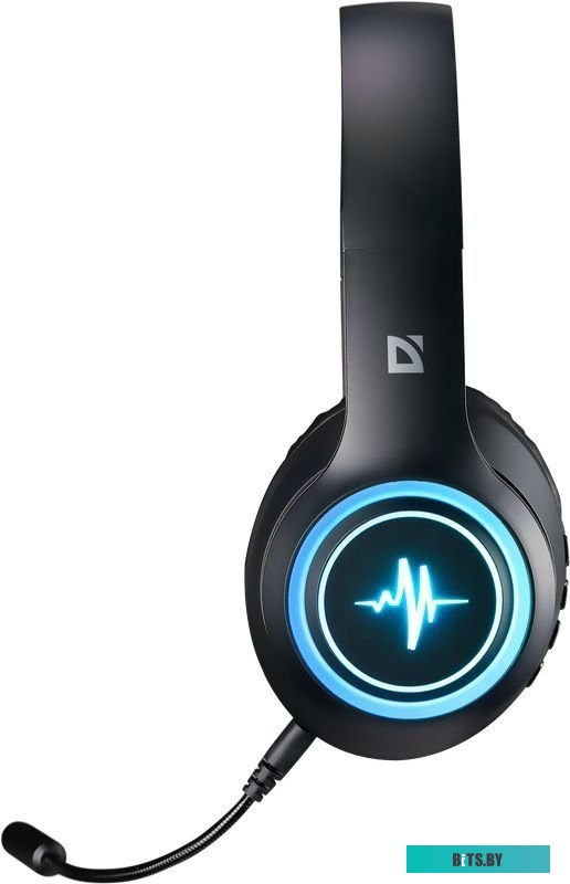 Наушники Defender FreeMotion B571 (со съемным микрофоном)