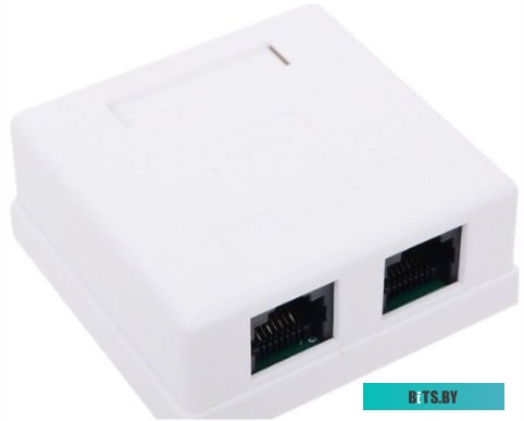 Gembird Electronics Китай TC-PLUG-8P8C-S-C5-SH Коннектор RJ-45 экранированный 100шт