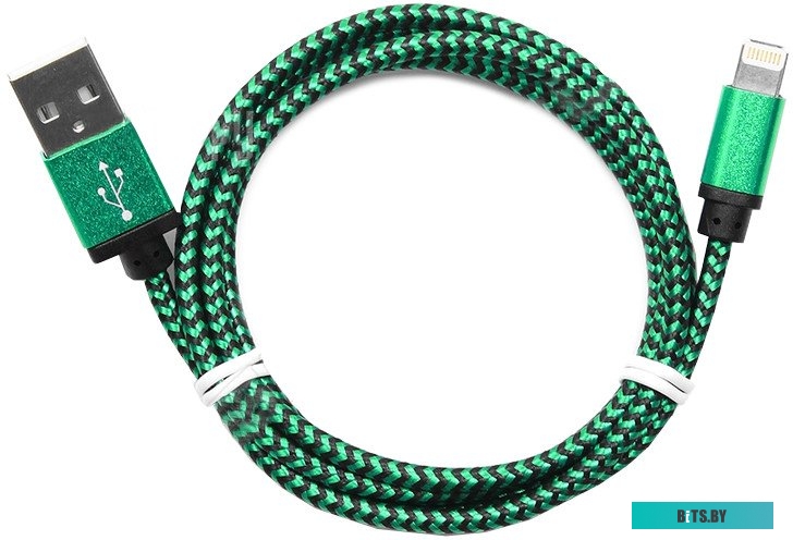 Кабель Cablexpert CC-ApUSB2gn1m