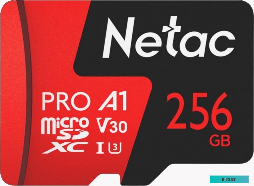 Карта памяти Netac P500 Extreme Pro 256GB NT02P500PRO-256G-S