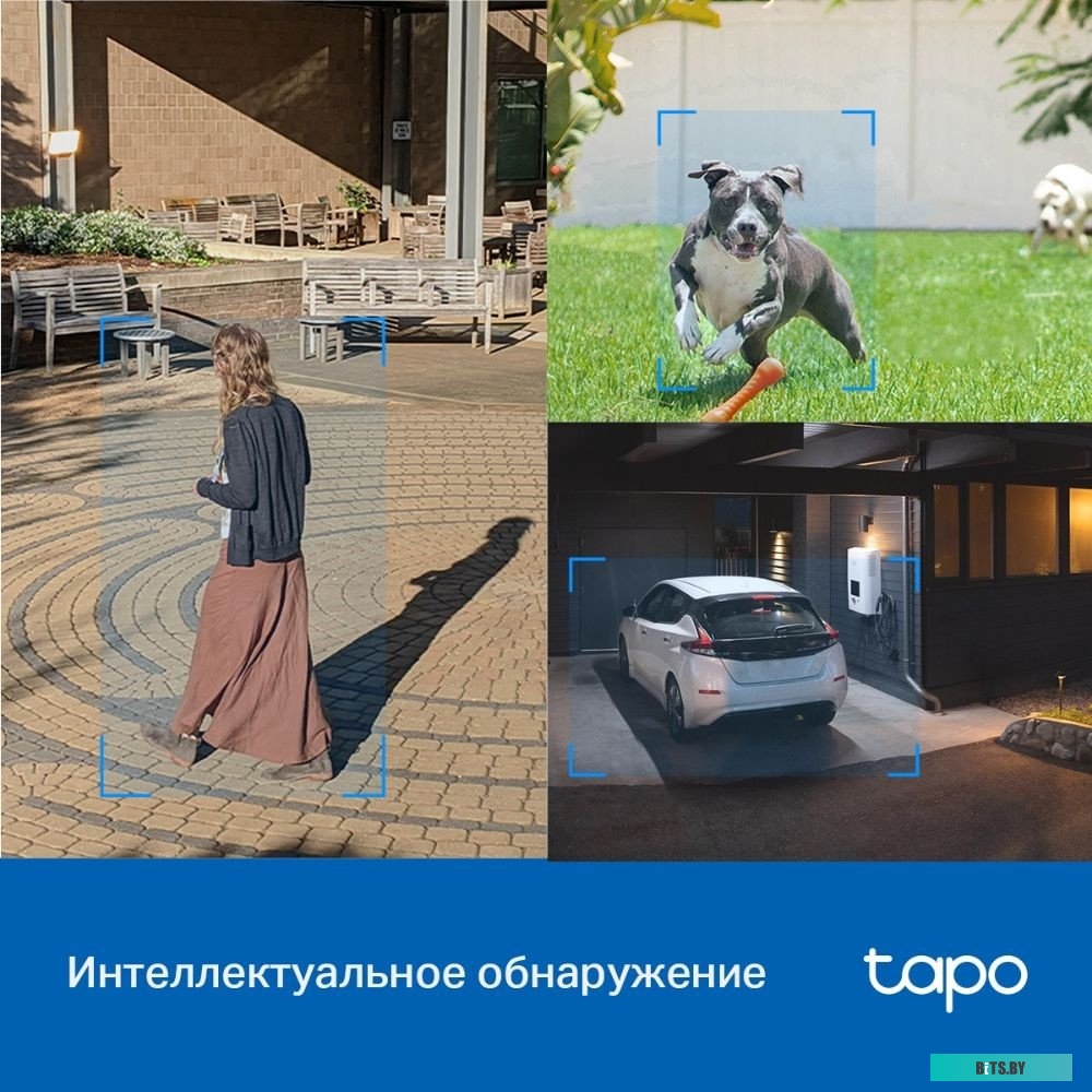 IP-камера TP-Link Tapo C520WS