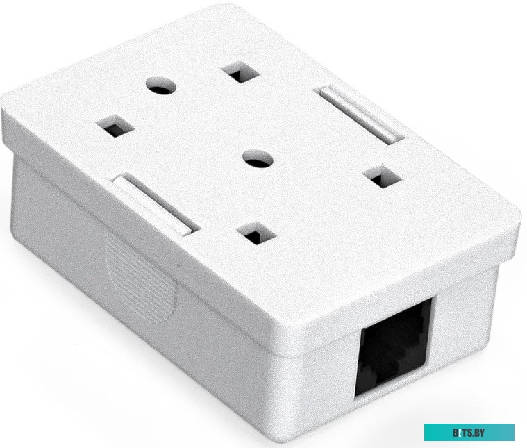 EX292844RUS Exegate SM1-RJ45-C6 <EX292844RUS>  Розетка  внешняя RJ-45  кат.6