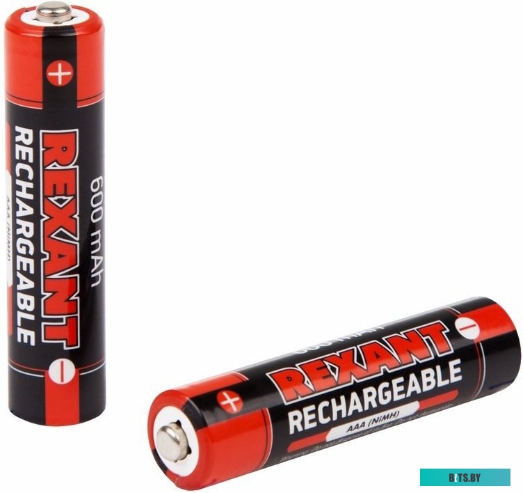 Аккумуляторы Rexant AAA 600mAh 2шт 30-1406