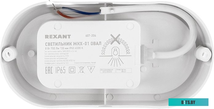 607-204 Светильник Rexant ЖКХ 8Вт 6500K белый опал (607-204)