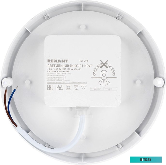 607-208 Светильник Rexant ЖКХ 18Вт 6500K белый опал датч.движ. (607-208)