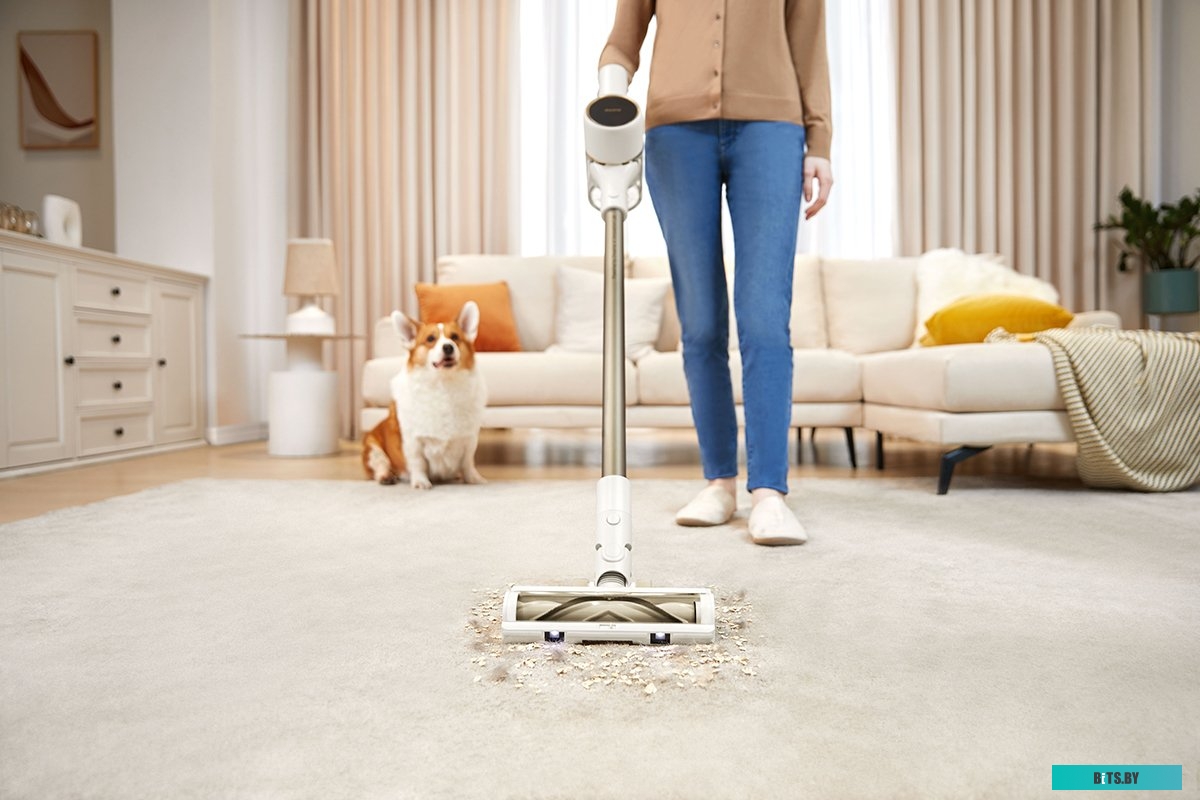 Dreame R10 (европейская версия)