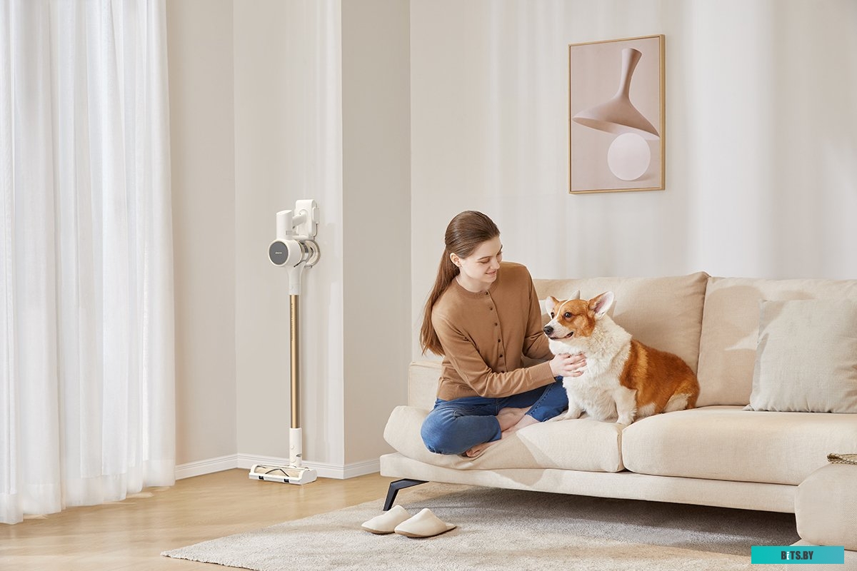 Dreame R10 (европейская версия)