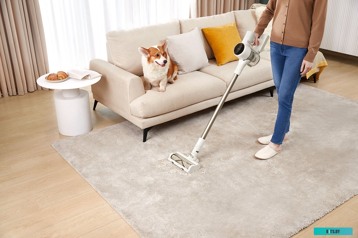 Dreame R10 (европейская версия)