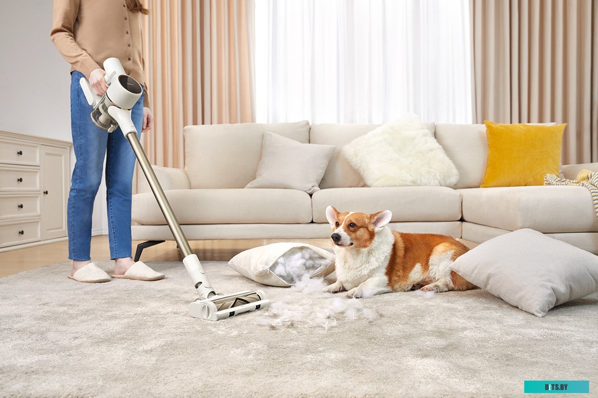 Dreame R10 (европейская версия)