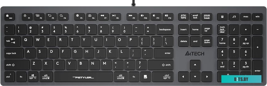 Клавиатура A4Tech Fstyler FX50 (серый)