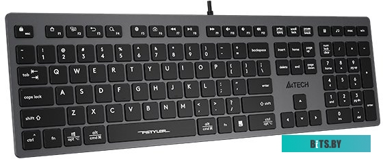 Клавиатура A4Tech Fstyler FX50 (серый)