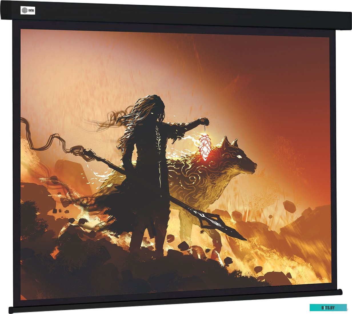 Экран для проекторов Cactus Wallscreen 149x265 CS-PSW-149X265-BK