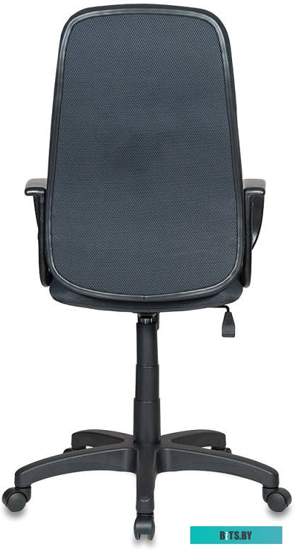 Офисное кресло (Стул) Бюрократ CH-808AXSN/TW-12 (серый)