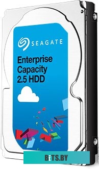 Серверный жесткий диск Seagate Enterprise Capacity 1TB (ST1000NX0333)