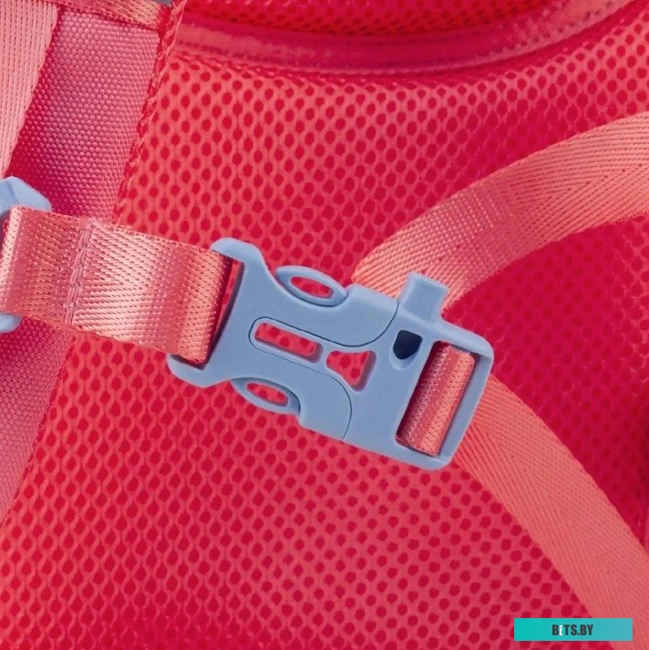 Рюкзак для ноутбука SUMDEX BPA-102PK розовый