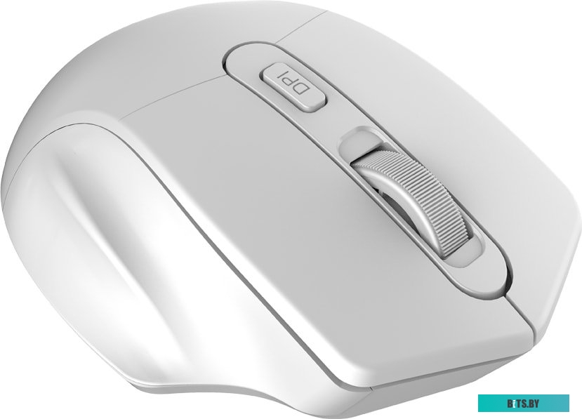 Мышь Canyon MW-15 (жемчужно-белый) <CNE-CMSW15PW>