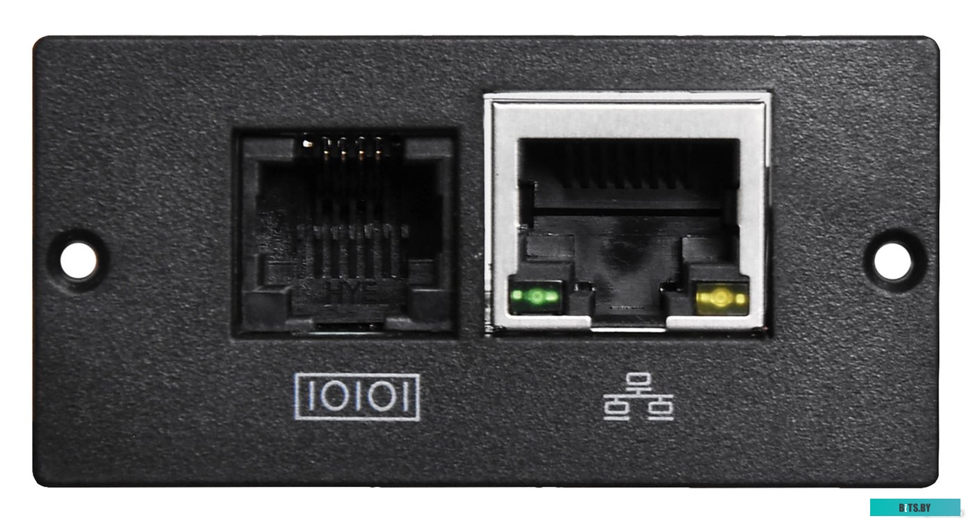 Модуль Ippon SNMP RT 33 1180661