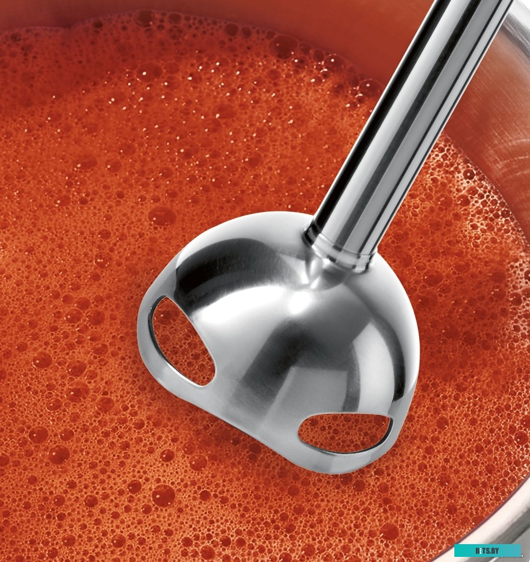 MS6CB6110 Блендер погружной Bosch ErgoMixx MS6CB6110 1000Вт черный