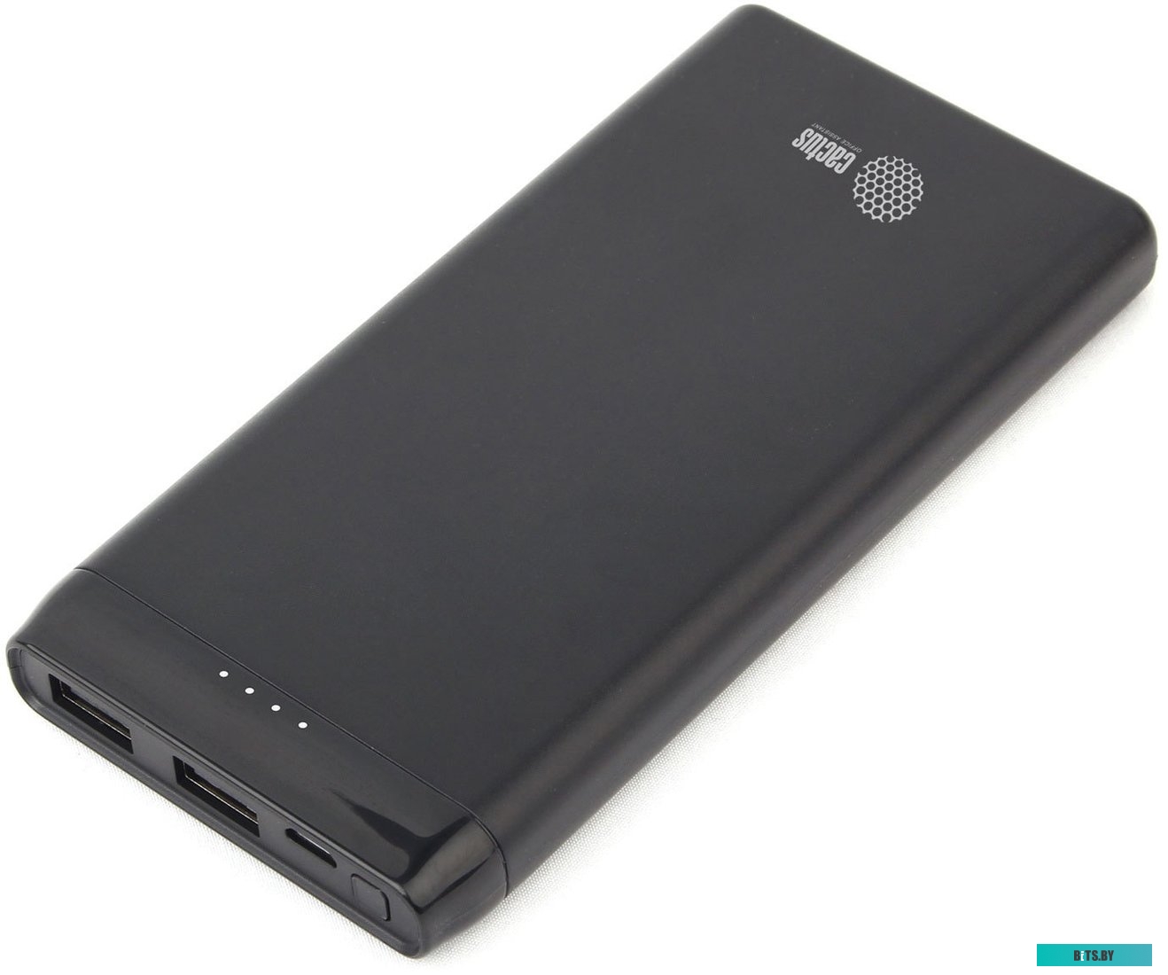 Портативное зарядное устройство Cactus CS-PBFSFT-10000 (черный)