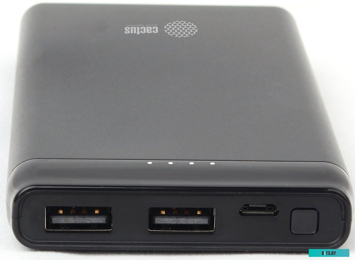 Портативное зарядное устройство Cactus CS-PBFSFT-10000 (черный)